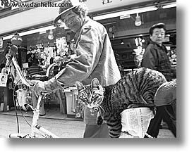 asia, bicycles, black and white, cats, horizontal, japan, men, people, photograph
