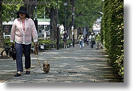 asia, dogs, horizontal, japan, people, walking, womens, photograph
