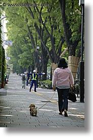 asia, dogs, japan, people, vertical, walking, womens, photograph