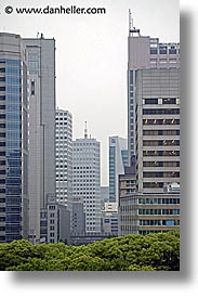 asia, cityscapes, japan, kanto, over, tokyo, trees, vertical, photograph