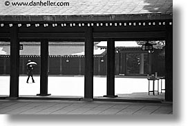 asia, black and white, horizontal, japan, kanto, meiji shrine, tokyo, umbrellas, walkers, photograph