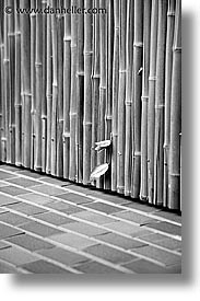 asia, bamboo, black and white, japan, kanto, tokyo, vertical, walls, photograph