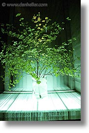 asia, japan, kanto, tokyo, trees, underlit, vertical, photograph