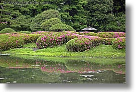 asia, horizontal, japan, japanese, kanto, pond, royal palace gardens, tokyo, photograph
