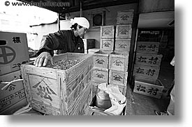 asia, black and white, boxes, horizontal, japan, kanto, tokyo, tsukiji market, workers, photograph