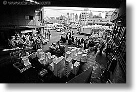asia, black and white, export, horizontal, import, japan, kanto, stations, tokyo, tsukiji market, photograph
