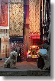 animals, asia, dogs, laos, luang prabang, rugs, vertical, white, photograph