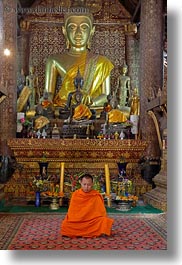 asia, buddhas, buddhist, buildings, golden, laos, luang prabang, monks, religious, sitting, temples, vertical, xiethong, photograph