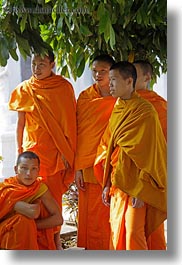 asia, asian, colors, laos, luang prabang, men, monks, oranges, people, trees, under, vertical, photograph