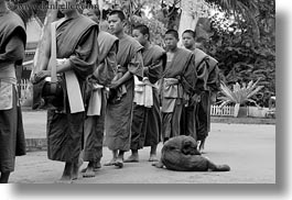 asia, asian, black and white, colors, dogs, horizontal, laos, luang prabang, men, monks, oranges, people, procession, walking, photograph