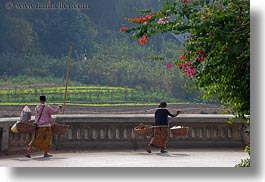 asia, bougainvilleas, carrying, don ganh, flowers, horizontal, laos, luang prabang, nature, people, womens, photograph