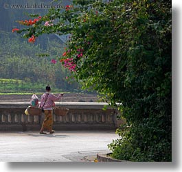 asia, bougainvilleas, carrying, don ganh, flowers, laos, luang prabang, nature, people, square format, womens, photograph