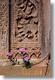 asia, doors, flowers, laos, luang prabang, pink, plants, vertical, woods, photograph