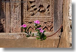 asia, doors, flowers, horizontal, laos, luang prabang, pink, plants, woods, photograph