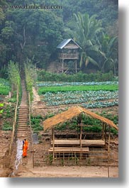 asia, huts, jungle, laos, luang prabang, monks, paths, roofs, scenics, thatched, vertical, photograph
