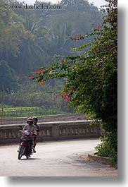 asia, bikes, bougainvilleas, curve, laos, luang prabang, motorcycles, transportation, vertical, photograph