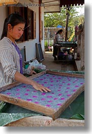 asia, flowers, laos, luang prabang, tray, vertical, weaving village, womens, photograph