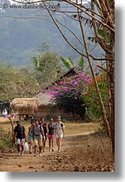 asia, flowers, hiking, hmong, laos, people, tourists, trees, vertical, villages, photograph