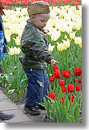 asia, beret, boys, childrens, clothes, colors, flowers, hats, moscow, nature, people, red, russia, tulips, vertical, photograph