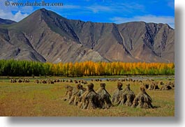 asia, barley, foliage, horizontal, landscapes, lhasa, mountains, stacks, tibet, trees, photograph