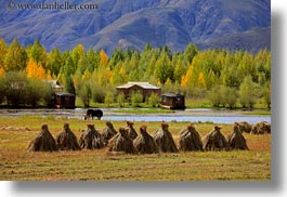 asia, barley, foliage, horizontal, lakes, landscapes, lhasa, mountains, nature, stacks, tibet, trees, water, photograph
