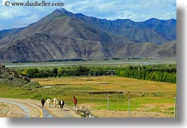 asia, cows, farmers, horizontal, landscapes, lhasa, mountains, tibet, photograph