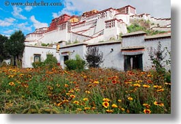 asia, flowers, horizontal, lhasa, palace, potala, tibet, photograph