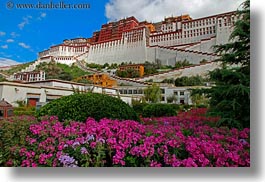 asia, flowers, horizontal, lhasa, palace, potala, tibet, photograph