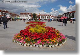asia, flowers, horizontal, lhasa, squares, streets, tibet, photograph
