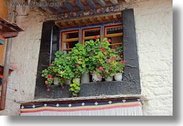 asia, flowers, horizontal, lhasa, tibet, windows, photograph