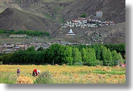 asia, fields, horizontal, riwodechen monastery, tibet, womens, working, yarlung valley, photograph