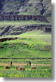 asia, fields, hay, scenics, stacks, tibet, vertical, workers, yarlung valley, photograph