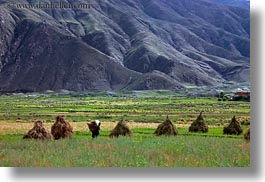 asia, fields, hay, horizontal, scenics, stacks, tibet, workers, yarlung valley, photograph