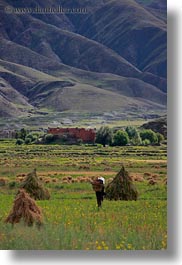 asia, fields, hay, scenics, stacks, tibet, vertical, workers, yarlung valley, photograph