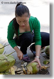 asia, asian, coconuts, cutting, ha long bay, people, vertical, vietnam, womens, photograph