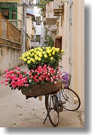 asia, bicycles, bikes, flowers, hanoi, pink, vertical, vietnam, yellow, photograph