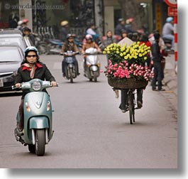asia, bicycles, bikes, flowers, hanoi, pink, square format, vietnam, yellow, photograph