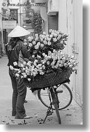 asia, bikes, black and white, flowers, hanoi, pink, vendors, vertical, vietnam, yellow, photograph