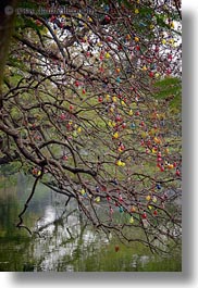 asia, branches, colorful, hanoi, lakes, lightbulbs, vertical, vietnam, photograph