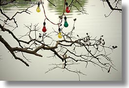 asia, branches, colorful, hanoi, horizontal, lakes, lightbulbs, vietnam, photograph