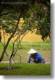 asia, blues, conical, gardeners, gardening, hanoi, hats, people, vertical, vietnam, white, womens, photograph