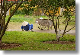 asia, blues, conical, gardeners, gardening, hanoi, hats, horizontal, people, vietnam, white, womens, photograph