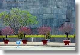 asia, flowers, hanoi, horizontal, potted, presidential palace, vietnam, photograph