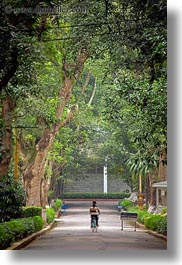 asia, hanoi, presidential palace, slow exposure, trees, tunnel, vertical, vietnam, photograph