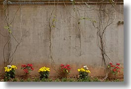 asia, concrete, flowers, hanoi, horizontal, prison, vietnam, walls, photograph