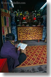 altar, asia, hanoi, reading, temples, vertical, vietnam, womens, photograph