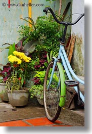 asia, bicycles, bikes, blues, flowers, hoi an, lights, vertical, vietnam, photograph