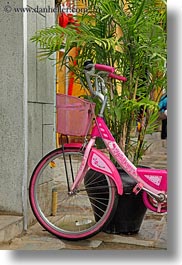 asia, bicycles, bikes, hoi an, pink, plants, vertical, vietnam, photograph
