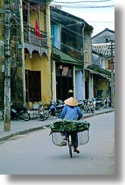 asia, bicycles, bikes, hoi an, riding, vertical, vietnam, womens, photograph
