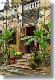 asia, buildings, hoi an, palm trees, restaurants, vertical, vietnam, photograph